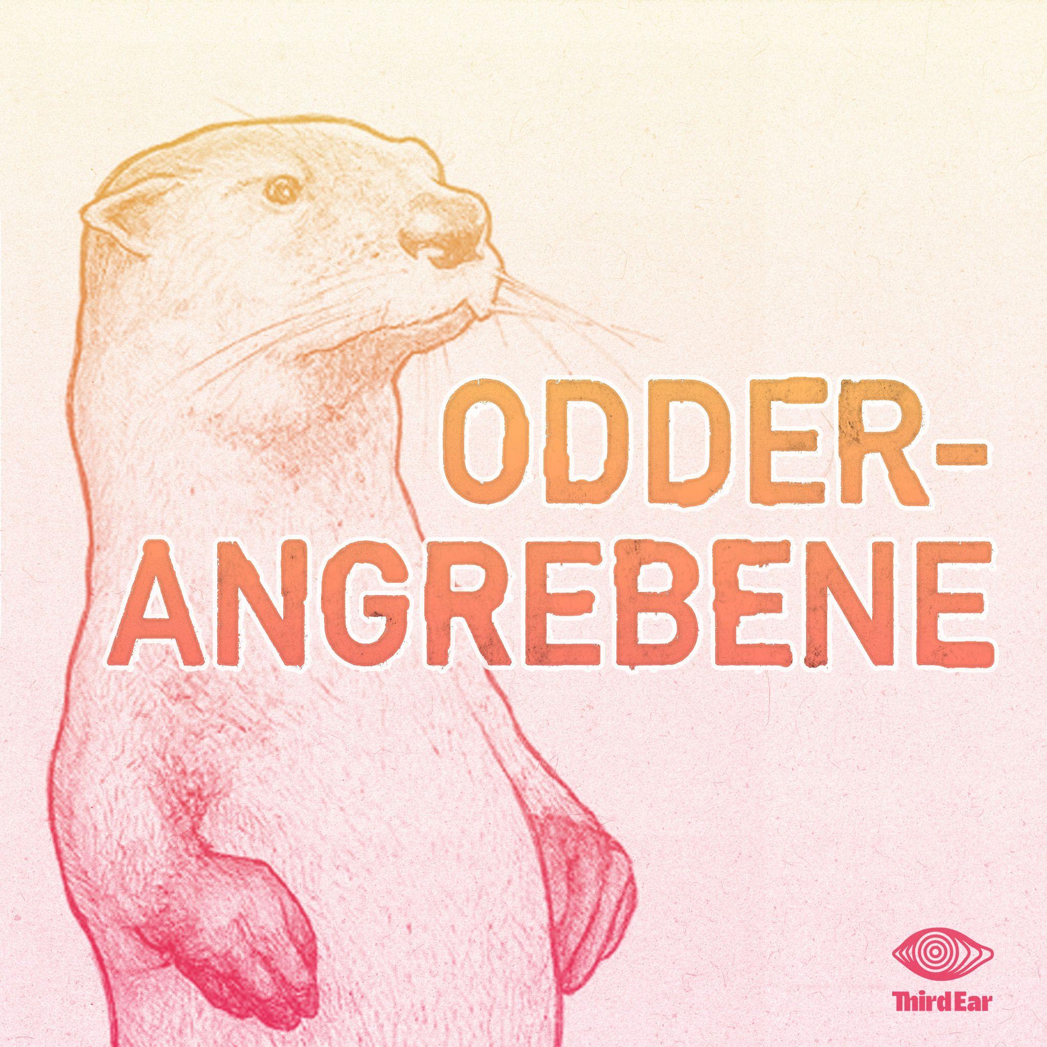 Odder-angrebene